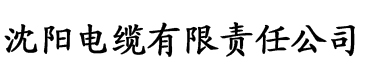 双语影院电缆厂logo